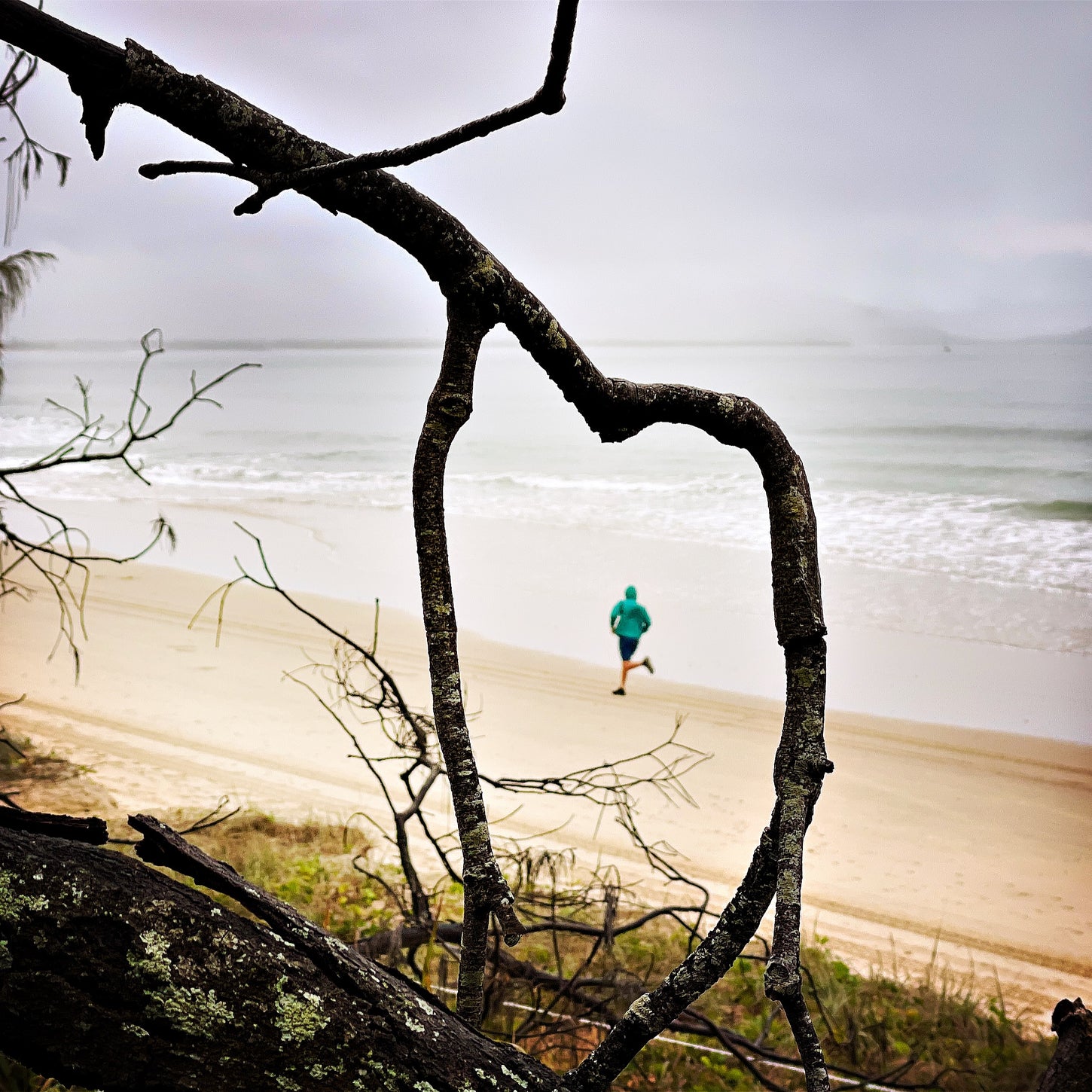 Runner on Mooloolaba Beach, Queensland, overcast day, framed by coastal tree branch